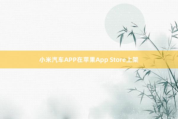 小米汽车APP在苹果App Store上架